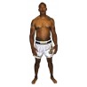 Brave Art Muay Thai Shorts Gold – Weiß & Gold – BATHSHWG