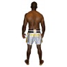 Brave Art Muay Thai Shorts Gold – Weiß & Gold – BATHSHWG