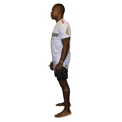 T-Shirt Octogone Brave Art