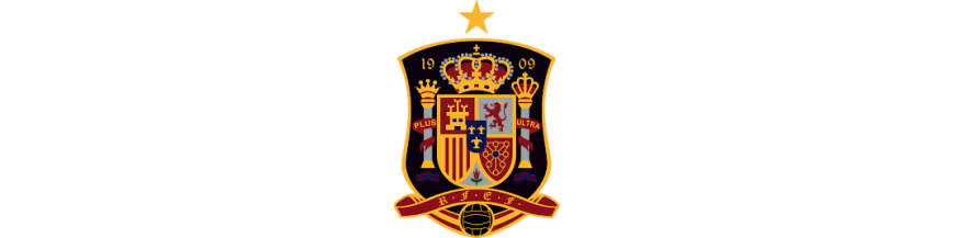 Fédération Royale Espagnole de football 