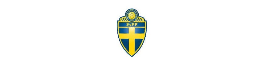 Fédération Suédoise de football
