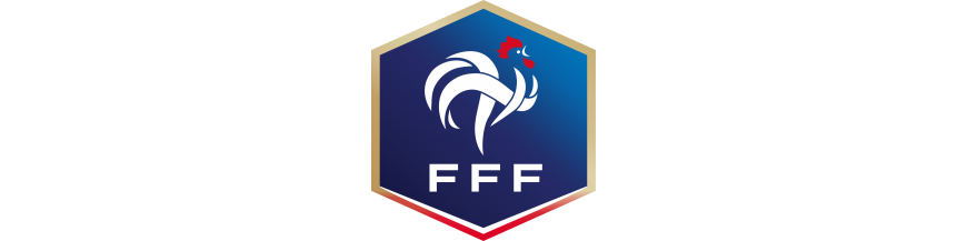 Fédération Française de football