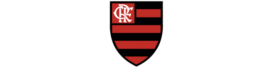  Clube de Regatas Flamengo