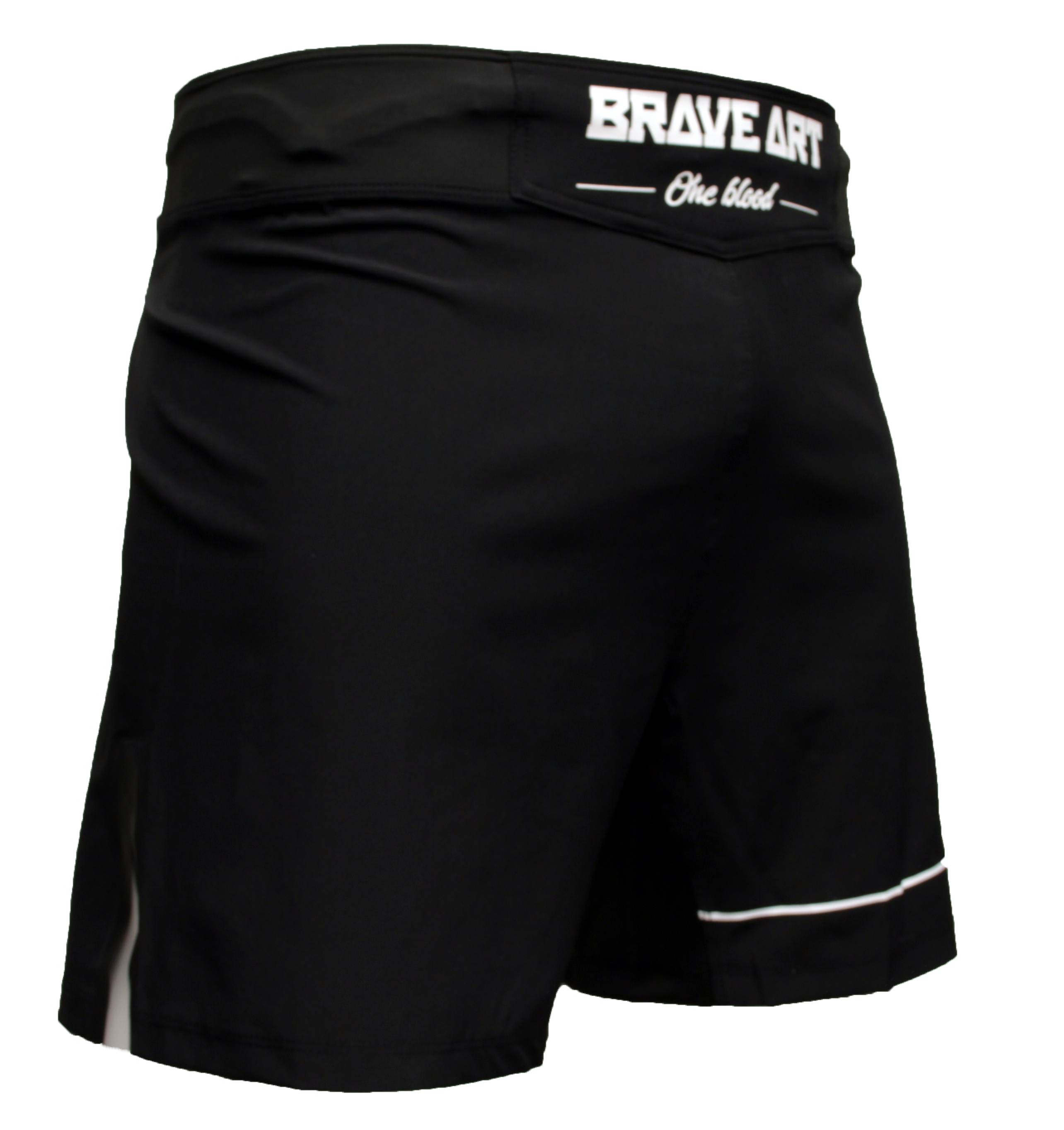 Shorts MMA